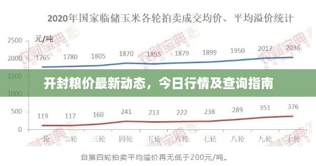 開封糧價最新動態(tài)，今日行情及查詢指南