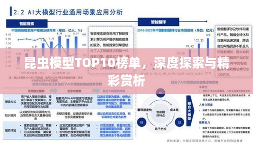 昆蟲模型TOP10榜單，深度探索與精彩賞析