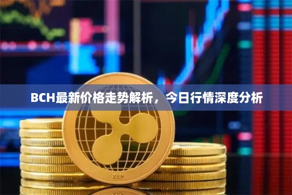 BCH最新價(jià)格走勢(shì)解析，今日行情深度分析