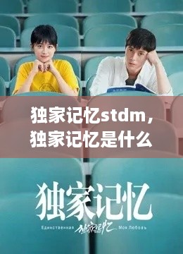 獨家記憶stdm，獨家記憶是什么意思 