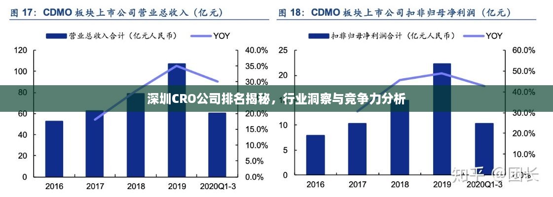 深圳CRO公司排名揭秘，行業(yè)洞察與競(jìng)爭(zhēng)力分析