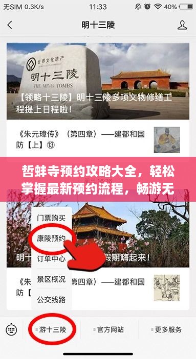 哲蚌寺預(yù)約攻略大全，輕松掌握最新預(yù)約流程，暢游無阻！