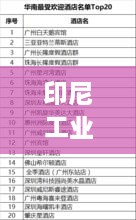 印尼工業(yè)材料TOP10排行榜，揭秘最受歡迎的十大材料