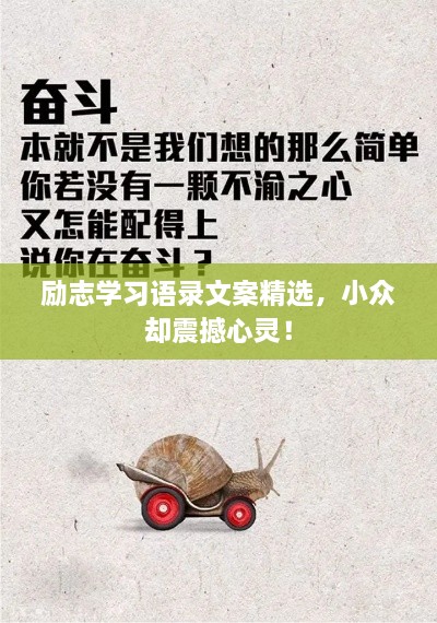 勵志學習語錄文案精選，小眾卻震撼心靈！