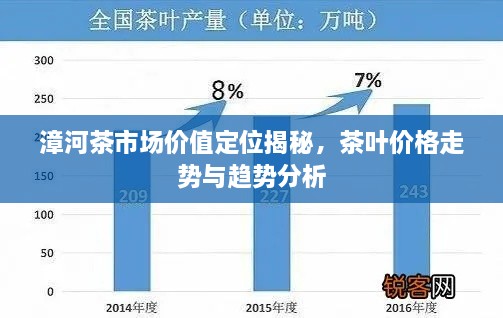 漳河茶市場價值定位揭秘，茶葉價格走勢與趨勢分析