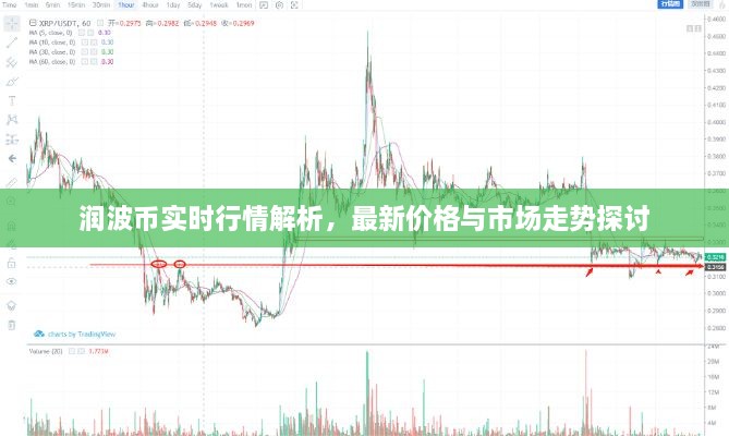 潤波幣實時行情解析，最新價格與市場走勢探討