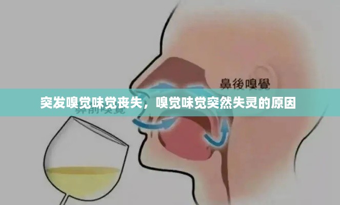 突發(fā)嗅覺味覺喪失，嗅覺味覺突然失靈的原因 