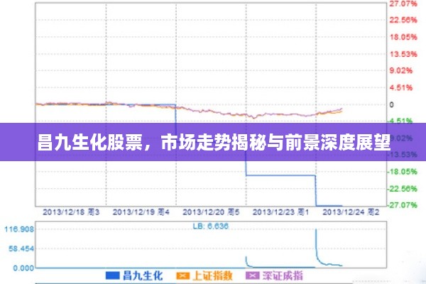 昌九生化股票，市場走勢揭秘與前景深度展望