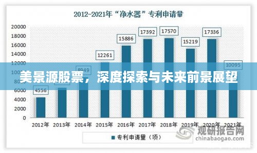 美景源股票，深度探索與未來前景展望