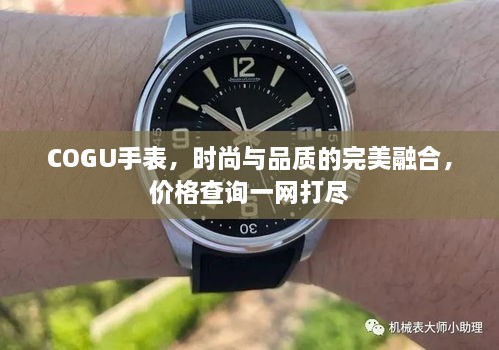 COGU手表，時(shí)尚與品質(zhì)的完美融合，價(jià)格查詢一網(wǎng)打盡