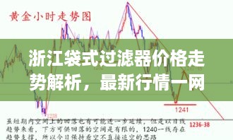 浙江袋式過(guò)濾器價(jià)格走勢(shì)解析，最新行情一網(wǎng)打盡！