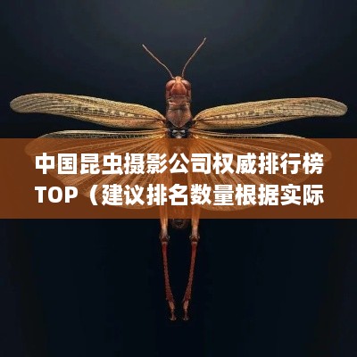 中國(guó)昆蟲(chóng)攝影公司權(quán)威排行榜TOP（建議排名數(shù)量根據(jù)實(shí)際情況調(diào)整）