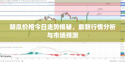 胡瓜價(jià)格今日走勢(shì)揭秘，最新行情分析與市場(chǎng)預(yù)測(cè)