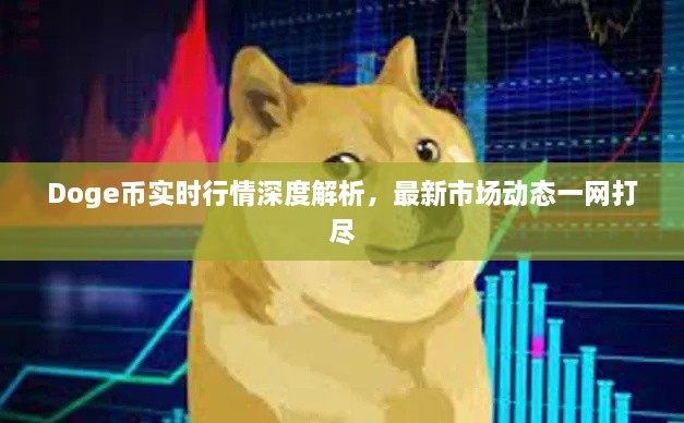 Doge幣實(shí)時行情深度解析，最新市場動態(tài)一網(wǎng)打盡