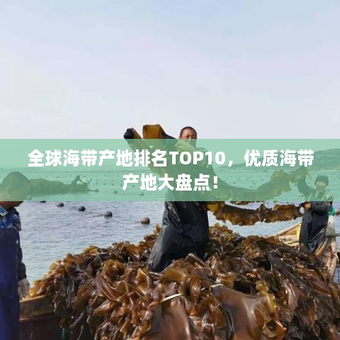 全球海帶產(chǎn)地排名TOP10，優(yōu)質(zhì)海帶產(chǎn)地大盤點！