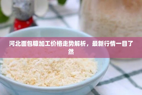 河北面包糠加工價(jià)格走勢(shì)解析，最新行情一目了然