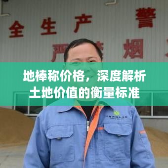 地棒稱價格，深度解析土地價值的衡量標(biāo)準