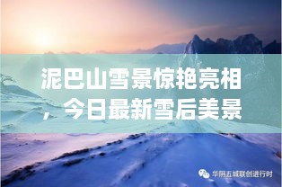 泥巴山雪景驚艷亮相，今日最新雪后美景報道！