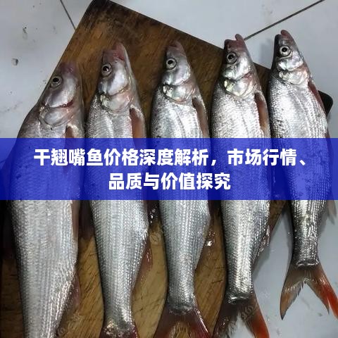 干翹嘴魚價(jià)格深度解析，市場行情、品質(zhì)與價(jià)值探究