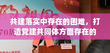 共建落實中存在的困難，打造黨建共同體方面存在的問題 