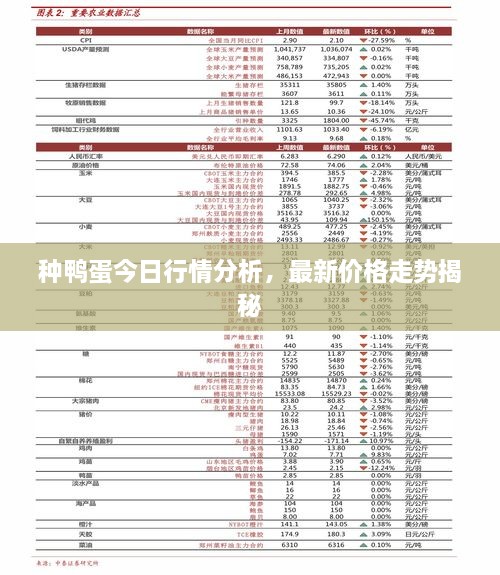 種鴨蛋今日行情分析，最新價(jià)格走勢(shì)揭秘