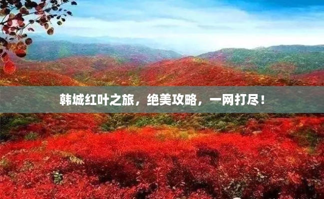 韓城紅葉之旅，絕美攻略，一網(wǎng)打盡！