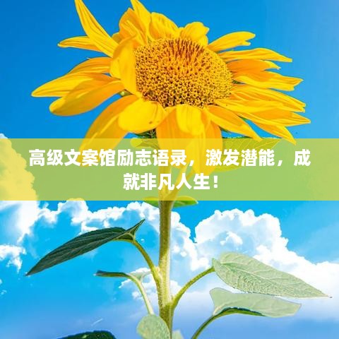 高級文案館勵志語錄，激發(fā)潛能，成就非凡人生！