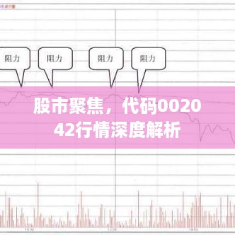 股市聚焦，代碼002042行情深度解析