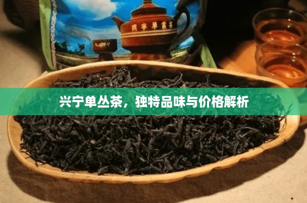 興寧單叢茶，獨特品味與價格解析