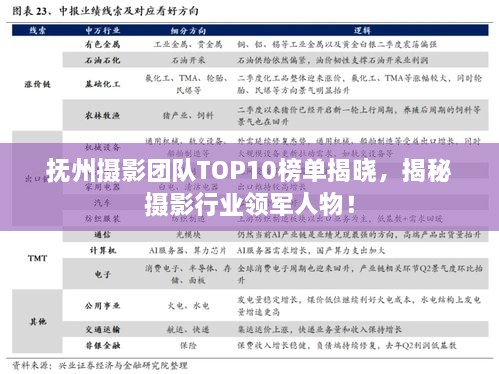 撫州攝影團隊TOP10榜單揭曉，揭秘攝影行業(yè)領(lǐng)軍人物！