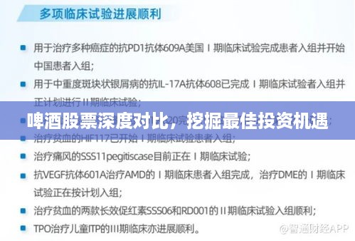 啤酒股票深度對(duì)比，挖掘最佳投資機(jī)遇