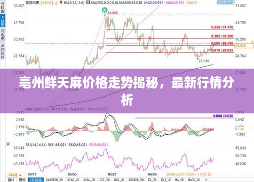 亳州鮮天麻價(jià)格走勢(shì)揭秘，最新行情分析