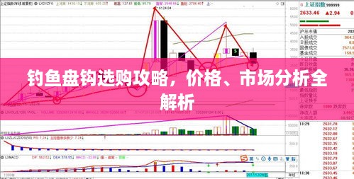 釣魚盤鉤選購攻略，價格、市場分析全解析