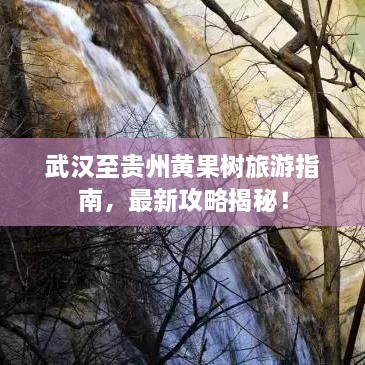 武漢至貴州黃果樹旅游指南，最新攻略揭秘！