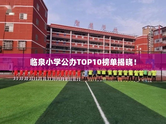 臨泉小學(xué)公辦TOP10榜單揭曉！