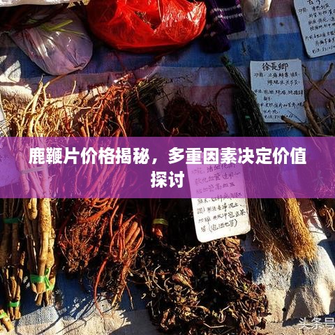 鹿鞭片價格揭秘，多重因素決定價值探討