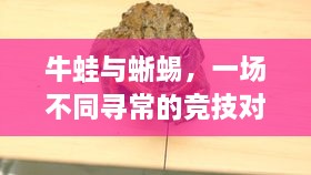 牛蛙與蜥蜴，一場(chǎng)不同尋常的競(jìng)技對(duì)決