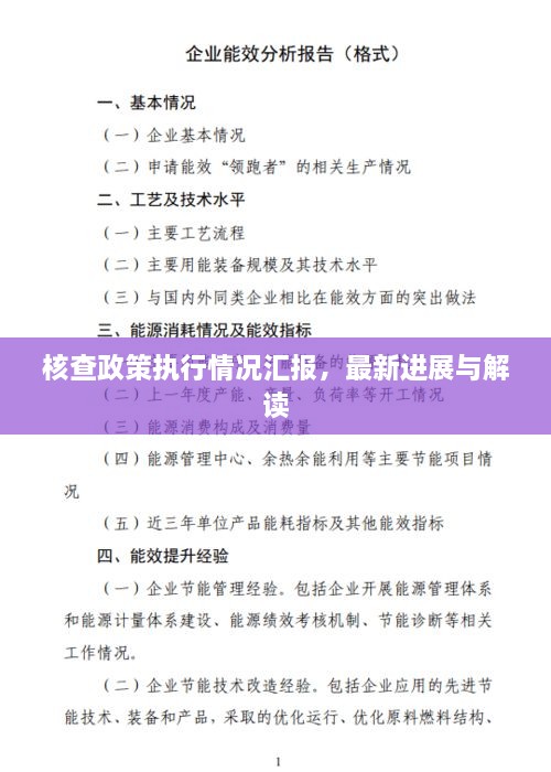 核查政策執(zhí)行情況匯報(bào)，最新進(jìn)展與解讀