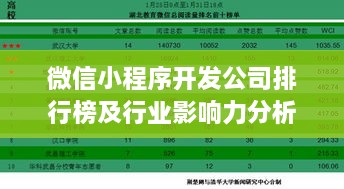 微信小程序開(kāi)發(fā)公司排行榜及行業(yè)影響力分析