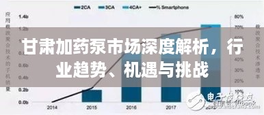 甘肅加藥泵市場深度解析，行業(yè)趨勢、機(jī)遇與挑戰(zhàn)