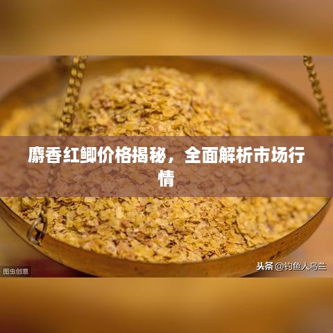 麝香紅鯽價格揭秘，全面解析市場行情