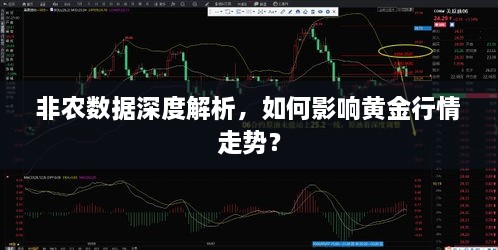 非農(nóng)數(shù)據(jù)深度解析，如何影響黃金行情走勢？