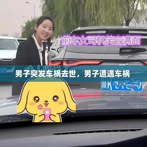 男子突發(fā)車禍去世，男子遭遇車禍 