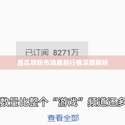 西瓜鐵粉市場(chǎng)最新行情深度解析