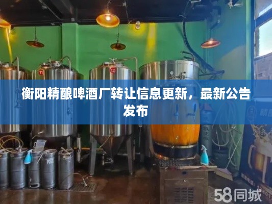 衡陽精釀啤酒廠轉讓信息更新，最新公告發(fā)布