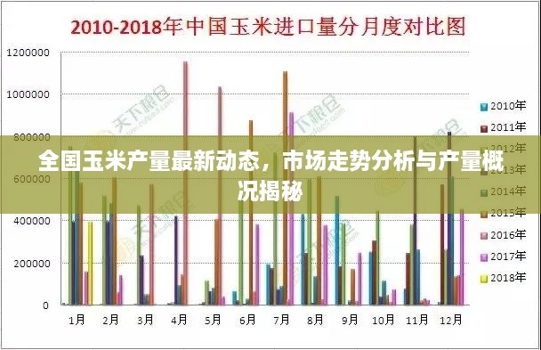 全國玉米產量最新動態(tài)，市場走勢分析與產量概況揭秘