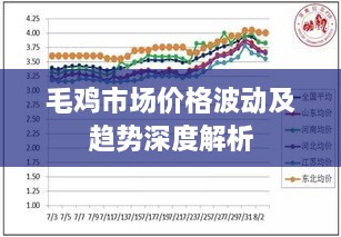 毛雞市場(chǎng)價(jià)格波動(dòng)及趨勢(shì)深度解析