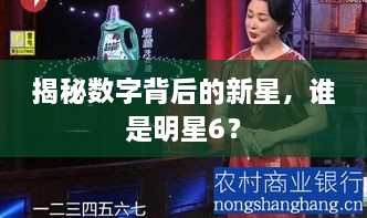 揭秘數(shù)字背后的新星，誰是明星6？