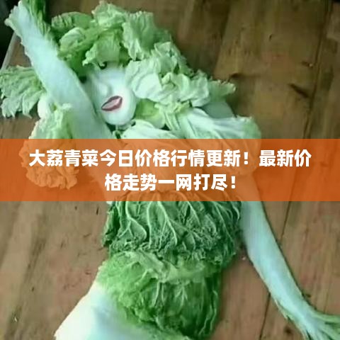 大荔青菜今日價格行情更新！最新價格走勢一網(wǎng)打盡！