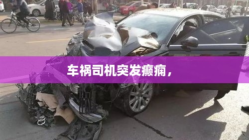 車禍司機突發(fā)癲癇， 